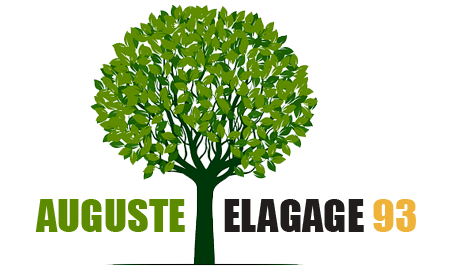 Auguste Elagage 93
